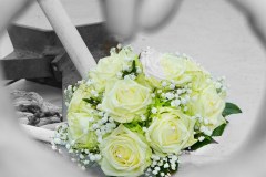 9G5A4834-Web