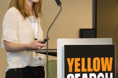 Yellow search today Copenhagen 2015